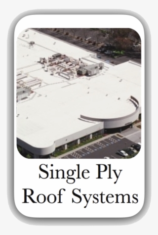 Single Ply Button New - We Didn T See Coming