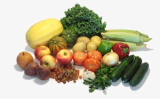 Pork Loin Pork Shoulder, Cow Drumstick Bacon Jerky - Broccoli