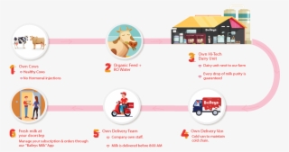 Baileys Milk Journey - Graphic Design