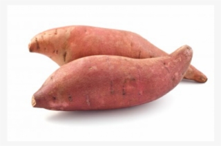 Beauregard Sweet Potato 0 - Usia Kehamilan 18 Minggu