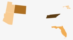 Boston Tea Party Presidential Election Results, 2008 - United States Presidential Primary