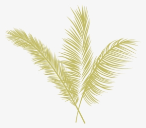 Eugene Local Food Carts - Yellow Palm Leaves Png
