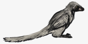 Jurassic Feathers Au - American Crow