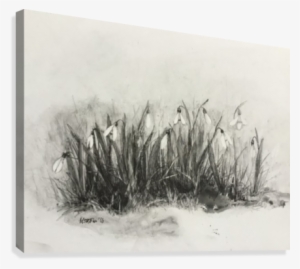 Snowdrops Art - Artist