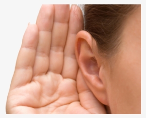 Ear Png - Secret To Losing Weight And Preventing Disease