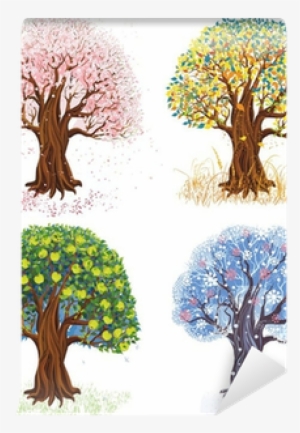 Apfelbaum In Den Vier Jahreszeiten