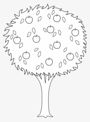Clip Art Transparent Collection Of High Quality - Apple Tree Black And White