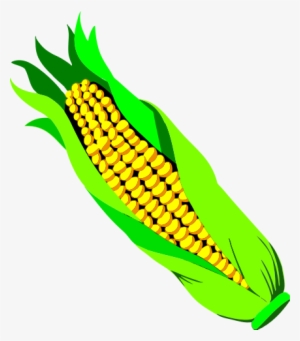 Ear Of Corn - Cob Clipart