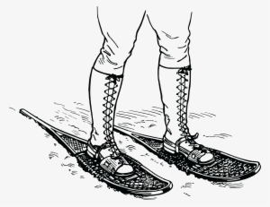 , , - Snowshoes Drawing