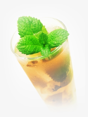Mint Julep