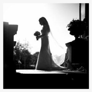 Gary Barrett Photography - Photograph