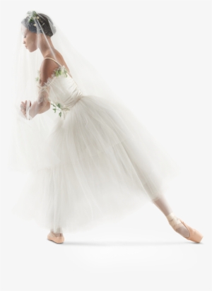 Through The Veil - Bride