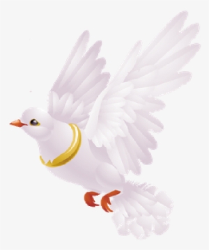 Pictures Of Wedding Bells And Doves Best Of White Dove - Love Pigeon With Rose