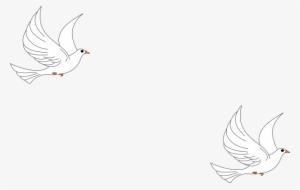 Clipart Dove Clip Art At Clker Com Vector - Sketch