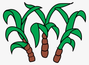 This Free Icons Png Design Of Sugar Cane