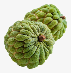 Sugar Apple Png Image Transparent - Custard Apple Fruit Png
