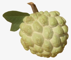 Sugar Apple Png Picture - Nmk1 Custard Apple