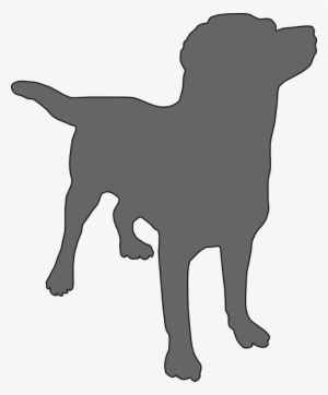 How To Set Use Grey Labrador Clipart