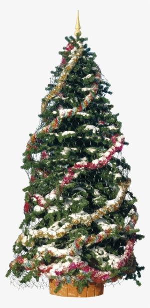 Christmas Tree With Decoration Png Image