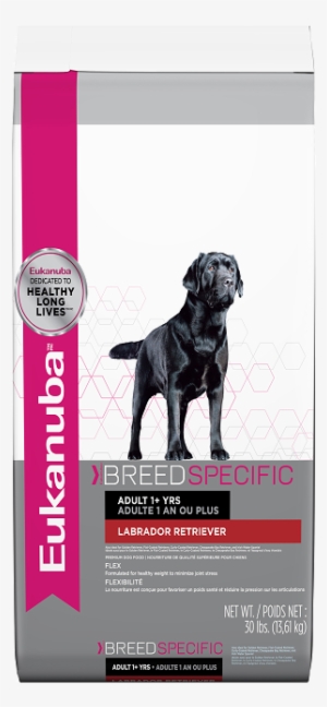 Front2 - Eukanuba Labrador