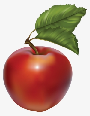 Clipart Info
