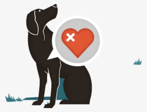 Heartworm Grass - Heartworm Transparent