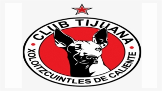 El Único Cuadro Mexicano Que Figura En La Lista De - Logos Equipos Liga Mx Png