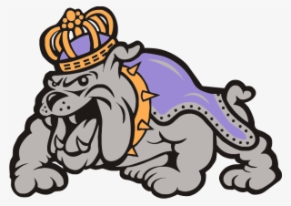 James Madison University - James Madison University Duke Dog