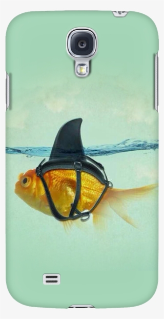 Dream Funny