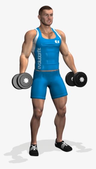 This Is And Essential Exercise For Biceps, It Develops - جلو بازو دمبل تک تک ایستاده