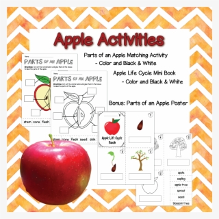 Product Preview Science Resources, Learning Resources, - Wedding Invitation