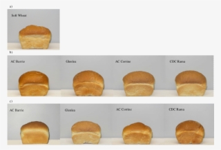 Breads Prepared From A) Soft Wheat Flour, B) Blends - Fast Food