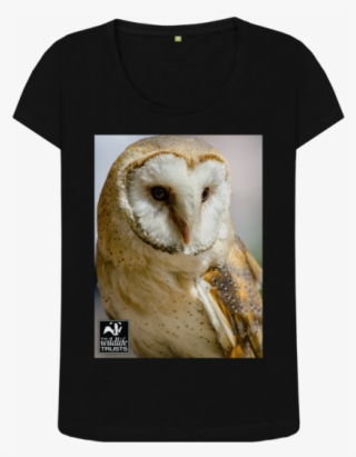 Black Barn Owl Top - Barn Owl