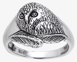 White Bronze Barn Owl Ring - Titanium Ring