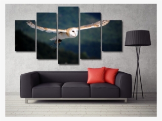 Barn Owl Flying - 5 Piece Photo Naruto Itachi