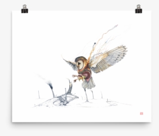 Repunzel The Barn Owl - Legend Of The Guardians Art