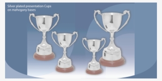 Trophy