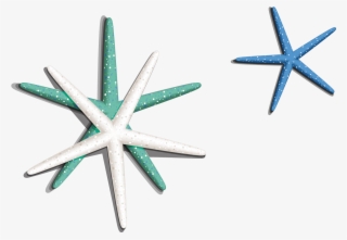 Sea Star Png Image - Starfish