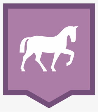 Open - Stallion