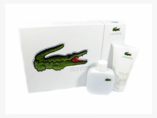 Alligator