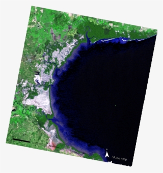 Kml Href, Http - Flower