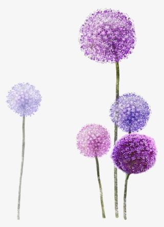 Dandelion Spa Is The Yard Where You Meet Your Wind - Flower Purple Painting Png