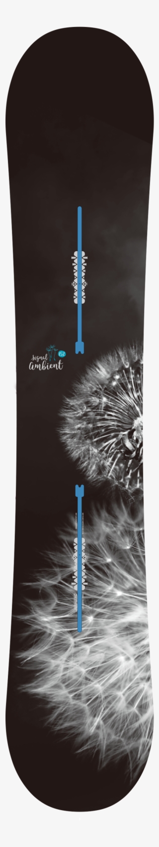 Ambient Dandelion - Snowboard
