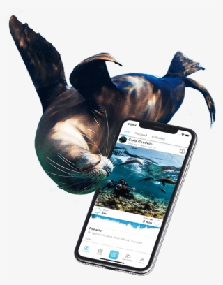 Deepblu Dive Logs How To Record Dives On Deepblu - Smartphone