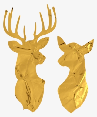 Visual Poetry • Australian Wedding Photographers •