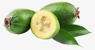 Download Guava Clipart - Feijoa Png
