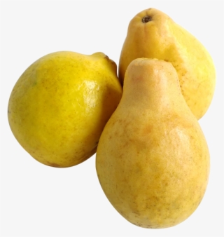 Guava Tea Clip Art - Guayaba Fruta Png