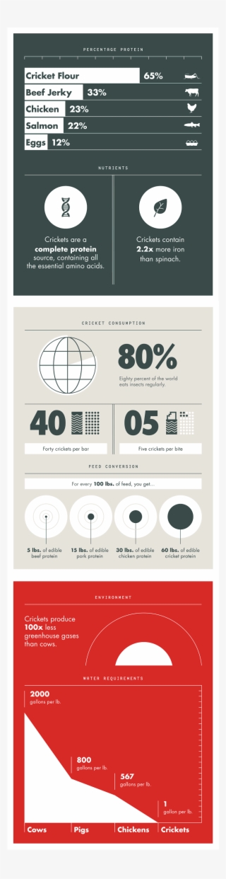Why Cricket Protein Is Awesome - Infographic Cricket Consumption