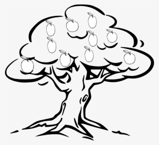 Apple Drawing Mango - Black And White Clipart Tree