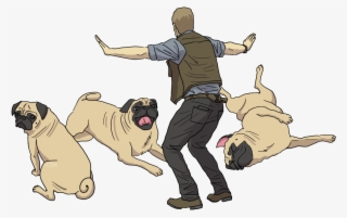 Did You Know That Chris Pratt Owns Several Pugs - Dog Yawns